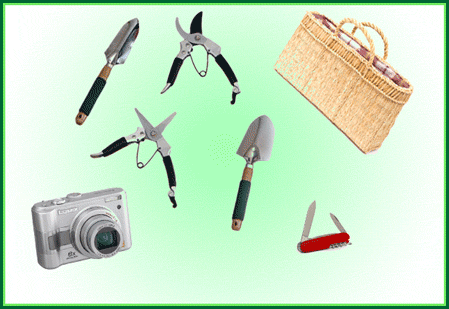 equipment for collecting herbs